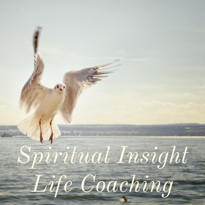 Mentor Insight Life Coaching Services